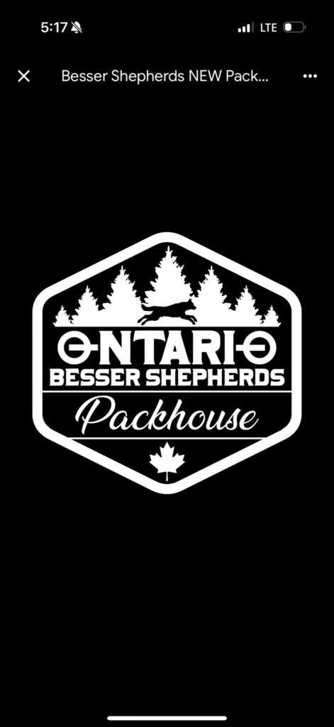 Ontario Besser Shepherds
