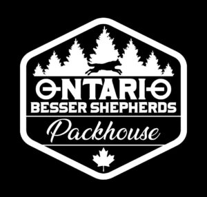 Ontario Besser Shepherds